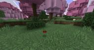 This mod is really nice for fans of the color pin(Image via mcbedrock.com)